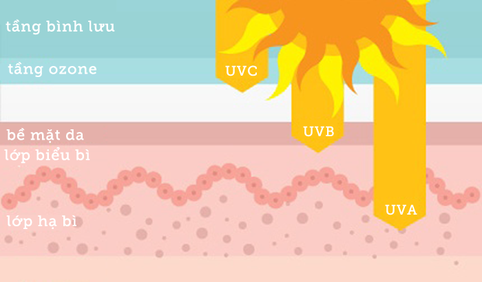 Tia UV có mấy loại? Loại nào ảnh hưởng xấu tới da?